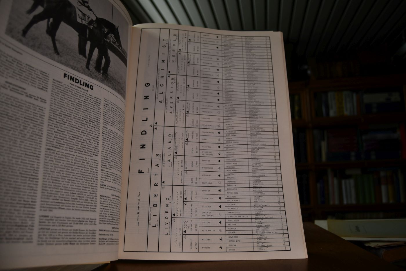 Deutsches Hengstbuch.