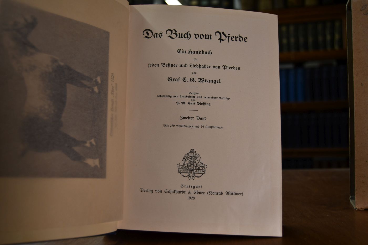 Das Buch vom Pferde. Ein Handbuch für jeden Besitzer und Liebhaber von Pferden. II. Bd. (von 2) apart.