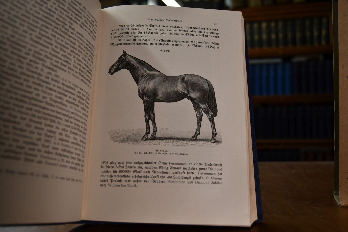 Das Buch vom Pferde. Ein Handbuch für jeden Besitzer und Liebhaber von Pferden. II. Bd. (von 2) apart.