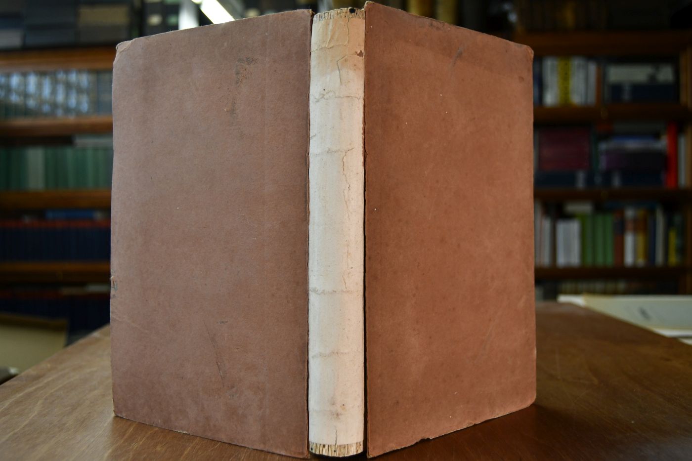 The General Stud Book containing Pedigrees of Race Horses. From the earliest Accounts to the Year 1831, inclusive. Vol. II (von III).