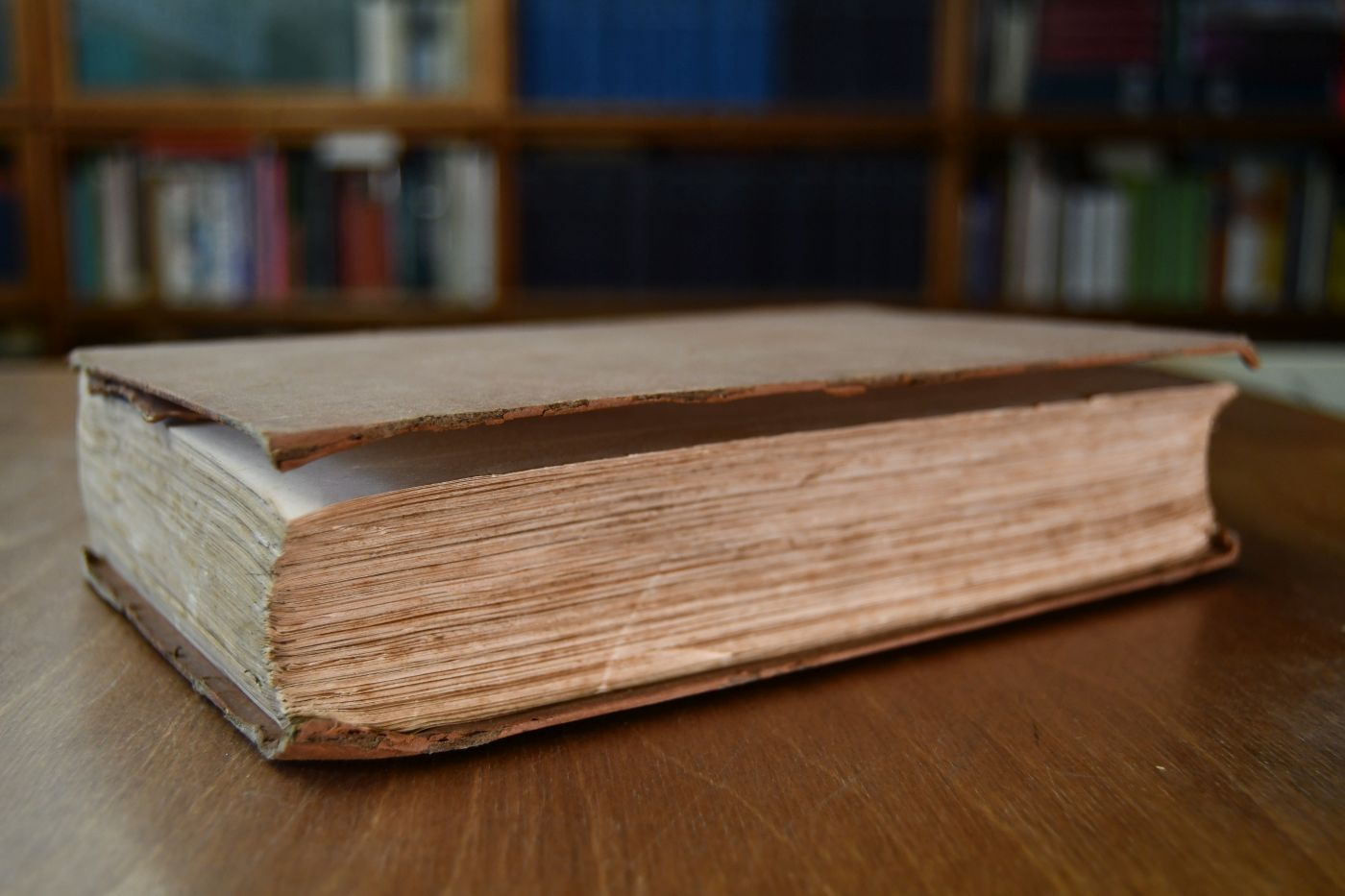 The General Stud Book containing Pedigrees of Race Horses. From the earliest Accounts to the Year 1831, inclusive. Vol. III (von III).