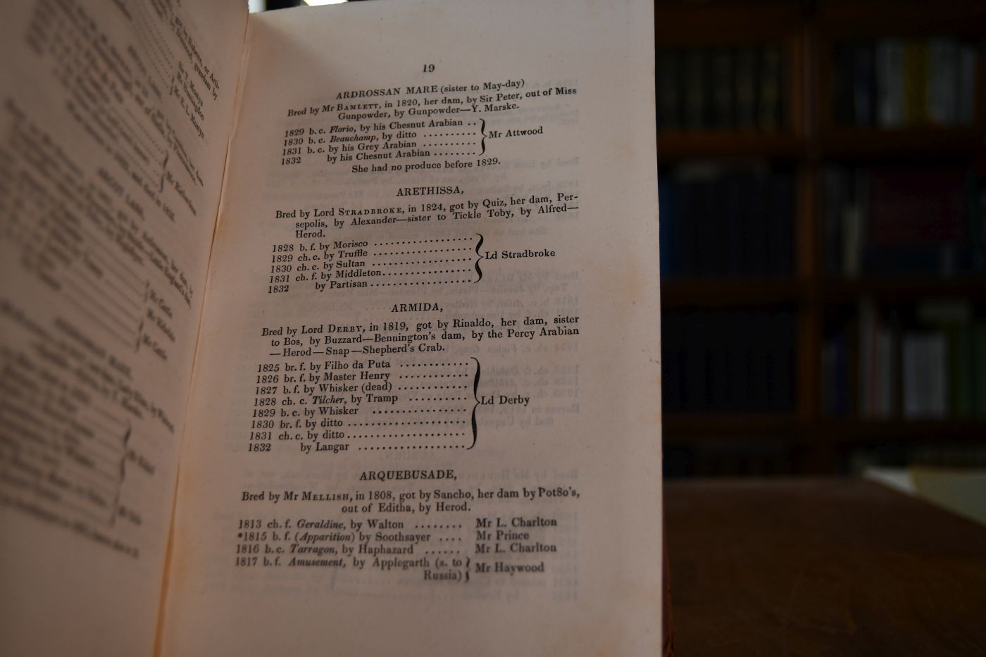 The General Stud Book containing Pedigrees of Race Horses. From the earliest Accounts to the Year 1831, inclusive. Vol. III (von III).