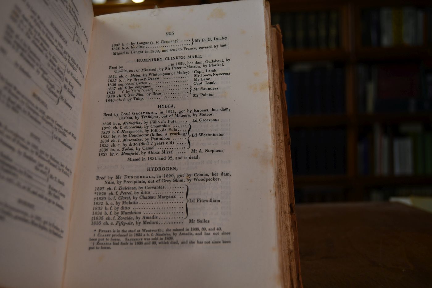 The General Stud Book containing Pedigrees of Race Horses. From the earliest Accounts to the Year 1840, inclusive. Vol. IV (von IV).