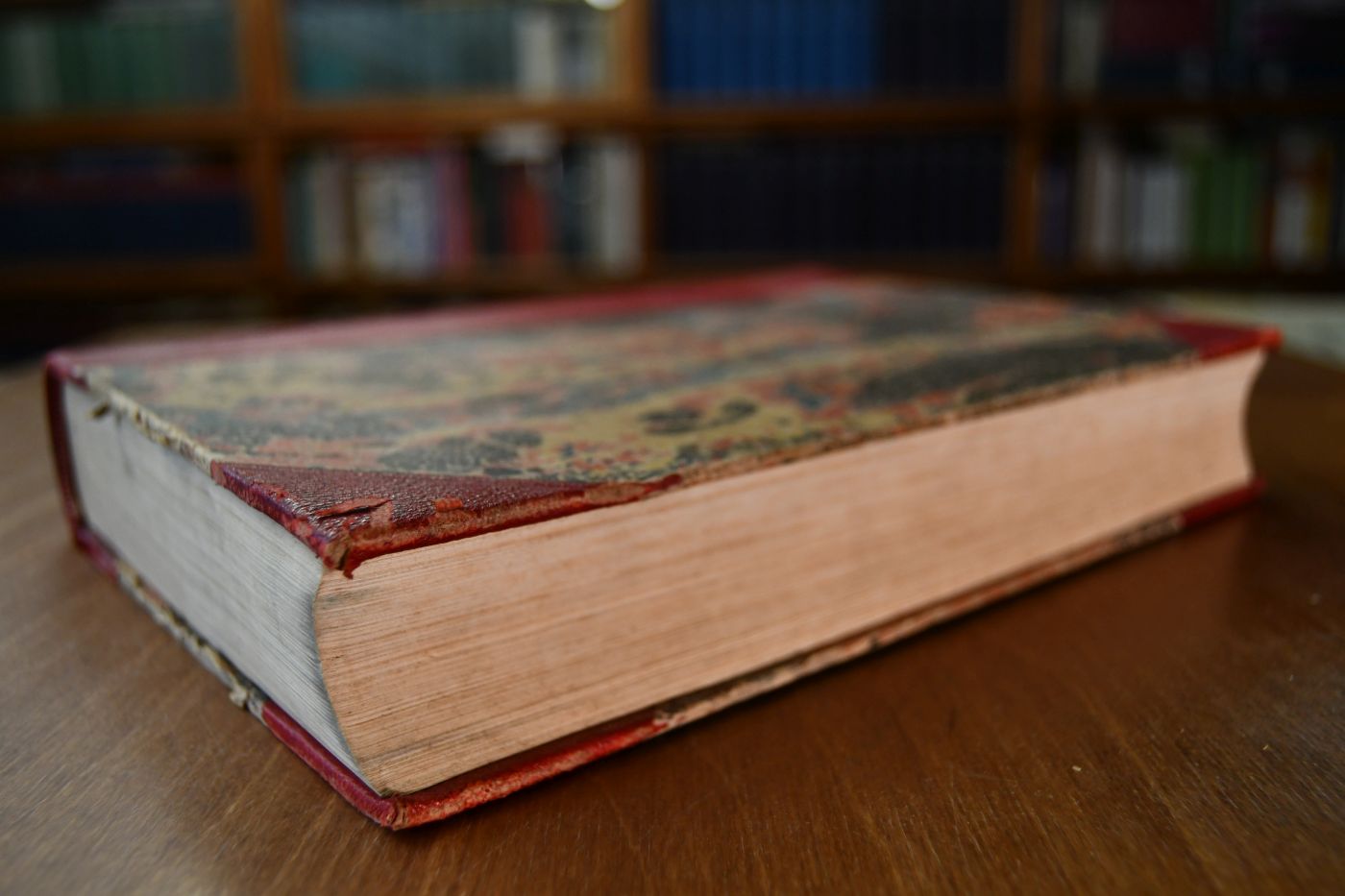 Das Buch vom Pferde. Ein Handbuch für jeden Besitzer und Liebhaber von Pferden. II. Bd. (von 2) apart.