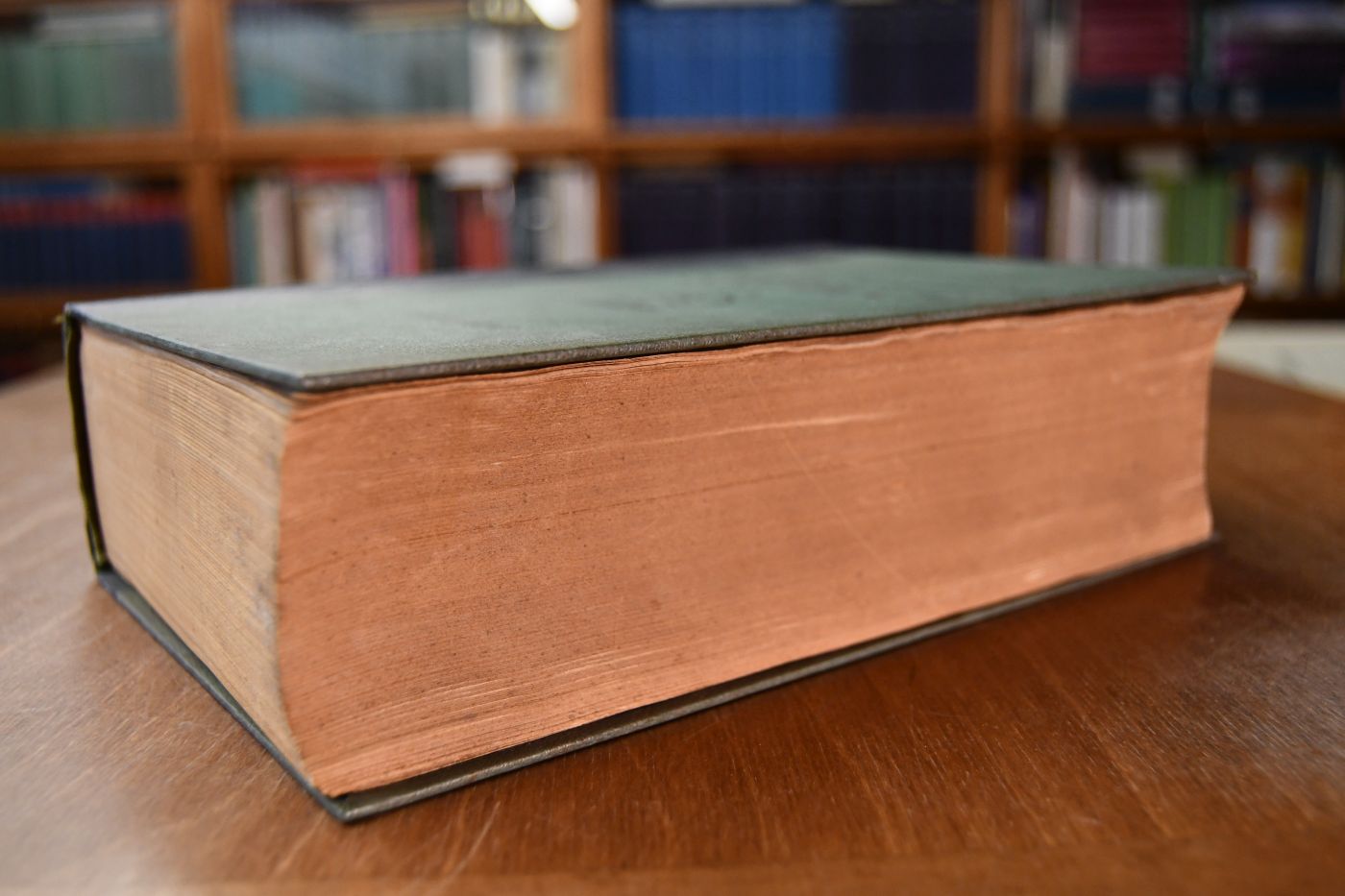 Schleswig-Holsteinisches Stutbuch. Erster Band.