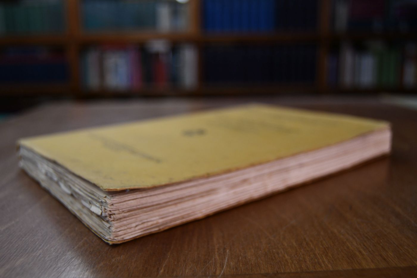 Verhandlungen des Sechsten Deutschen Soziologentages vom 17. September bis 19. September 1928 in Zürich. Vorträge und Diskussionen in der Hauptversammlung und in den Sitzungen der Untergruppen.