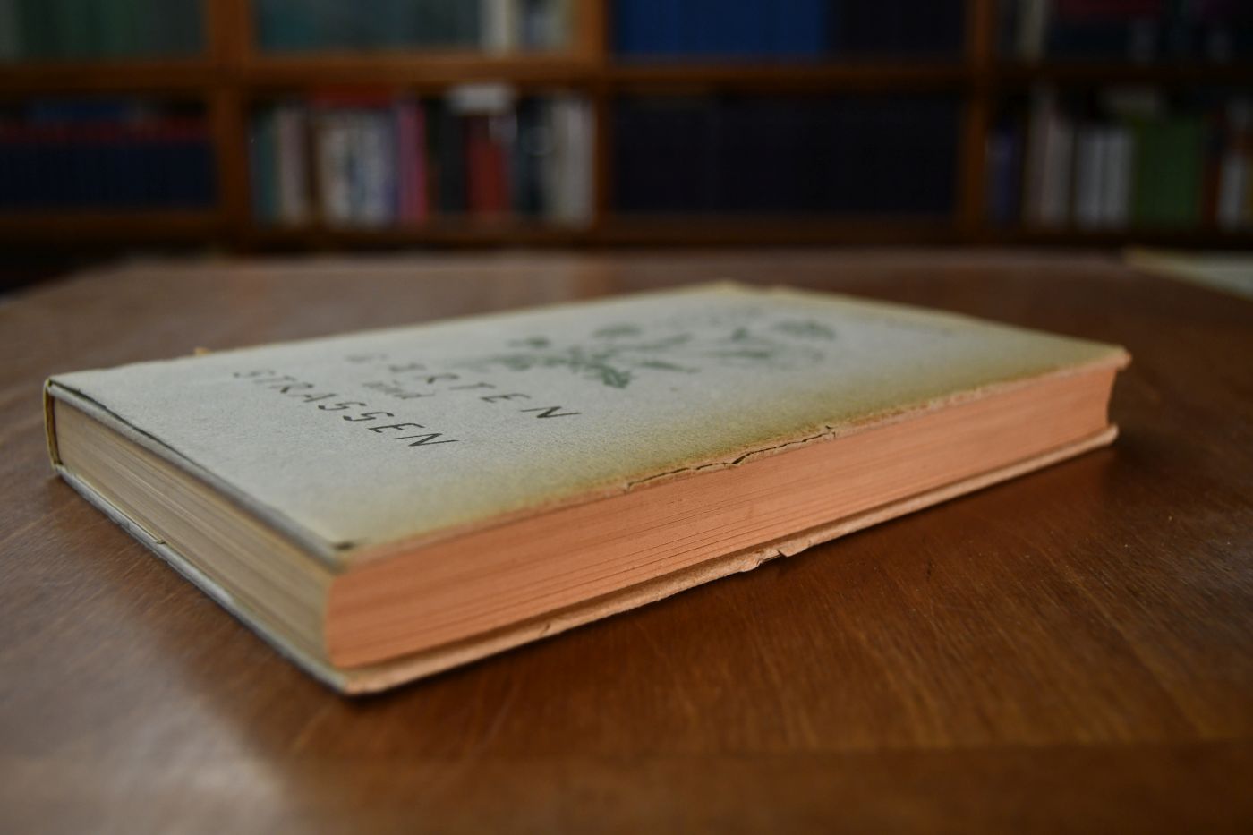Gärten und Strassen. Aus den Tagebüchern von 1939 und 1940.