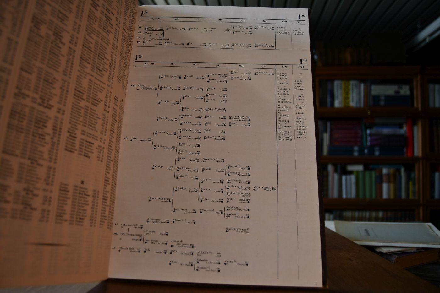 Die erfolgreichen Mutterlinien in der Vollblutzucht. The successful female lines in the breeding of the thoroughbred horse. Supplement I 1921-1922.
