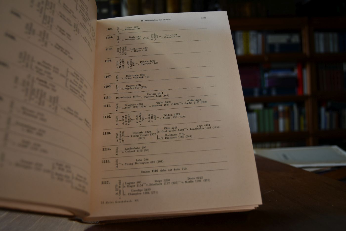 Gestütbuch der Holsteinischen Marschen 7. Band.