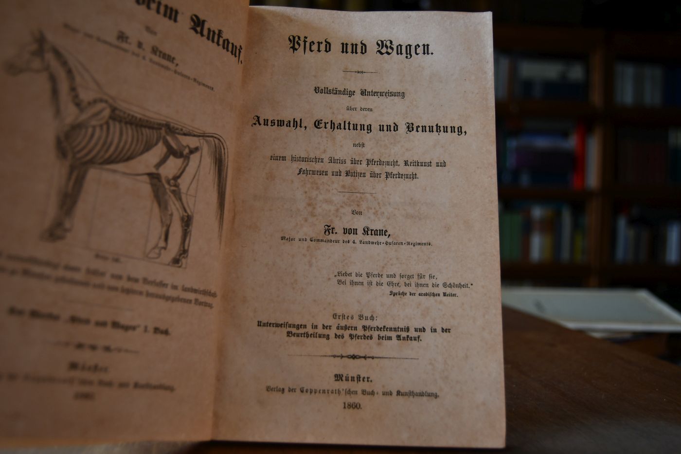 Pferd und Wagen. Erstes Buch (von 3) apart.