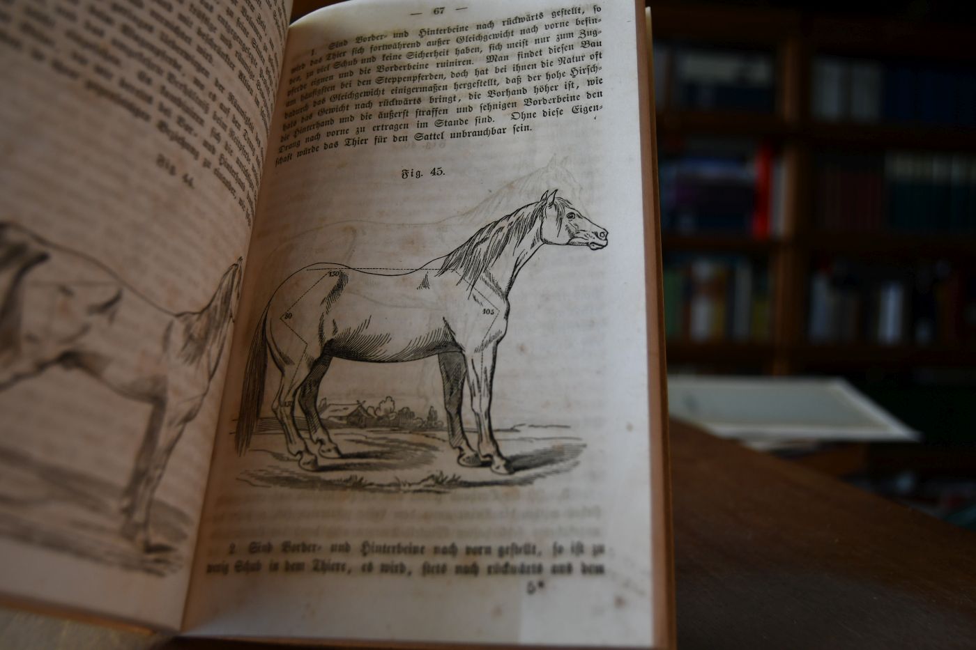 Pferd und Wagen. Erstes Buch (von 3) apart.