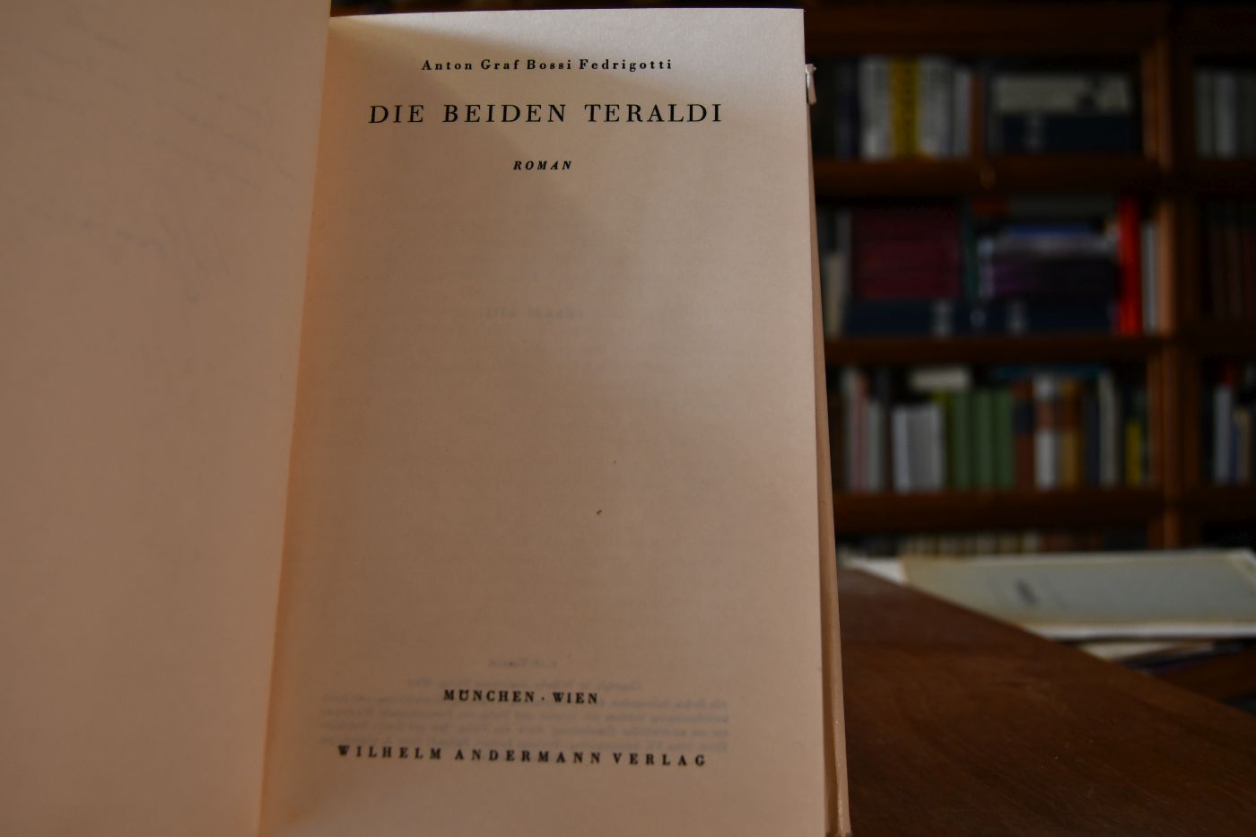 Die Beiden Teraldi. Roman.