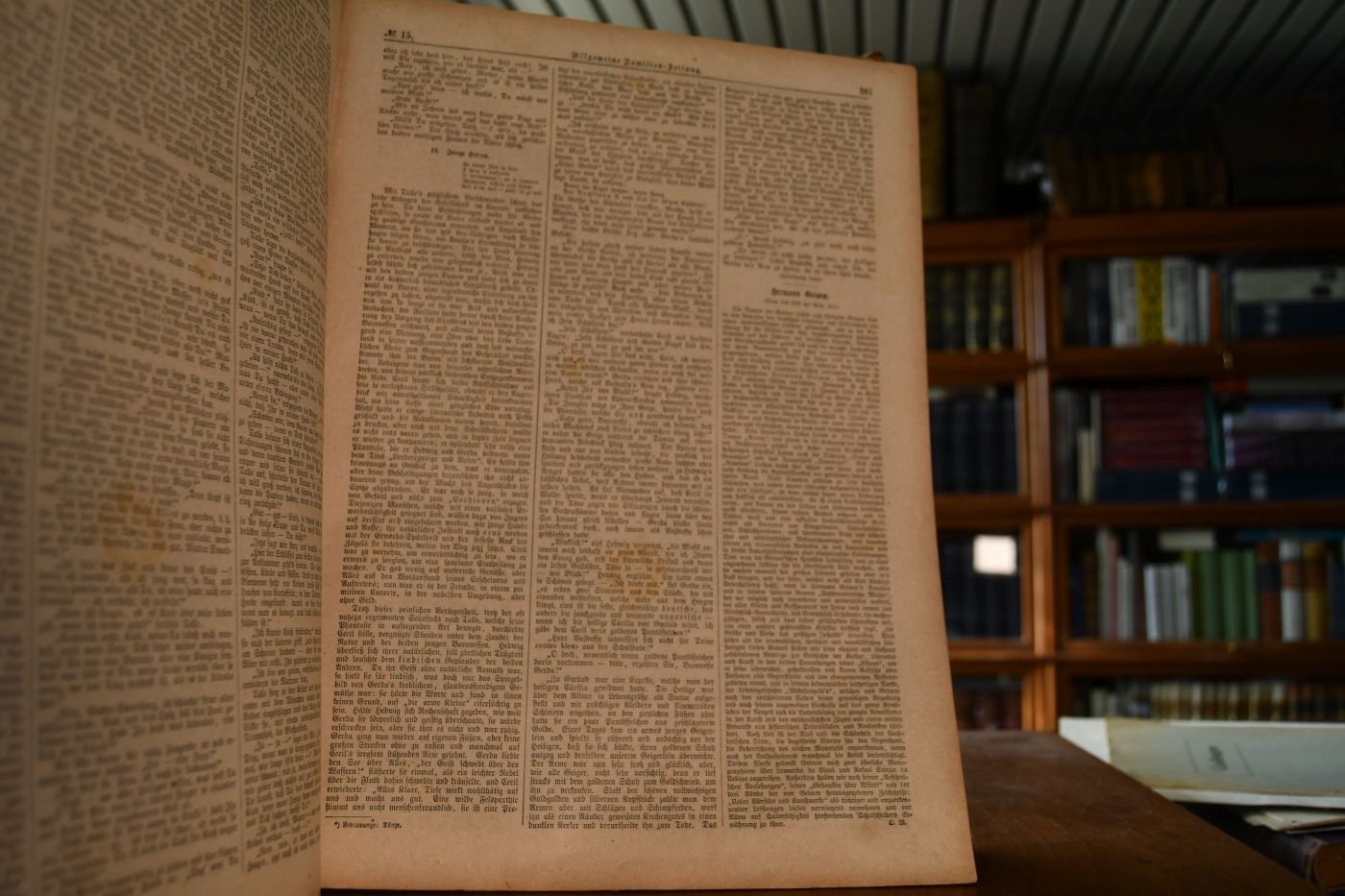 Allgemeine Familien Zeitung. 5. Jahrgang 1873.