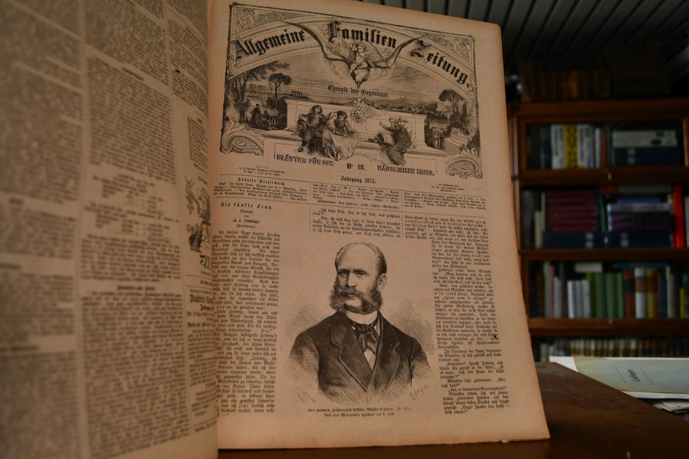 Allgemeine Familien Zeitung. 5. Jahrgang 1873.