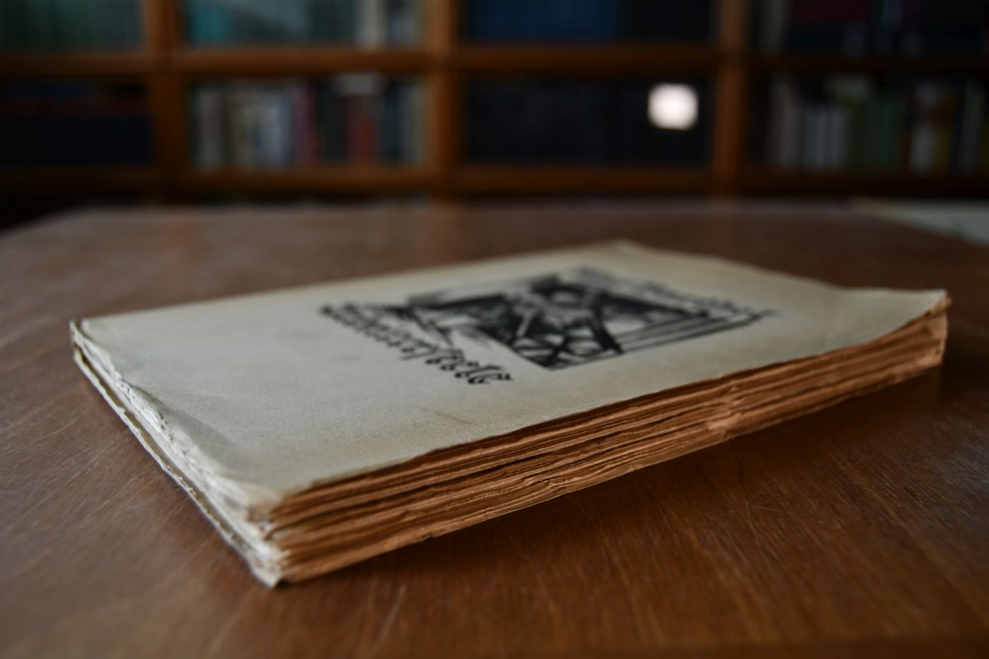 Arbeiterseele. Verse von Fabrik, Landstraße, Wanderschaft, Krieg und Revolution.