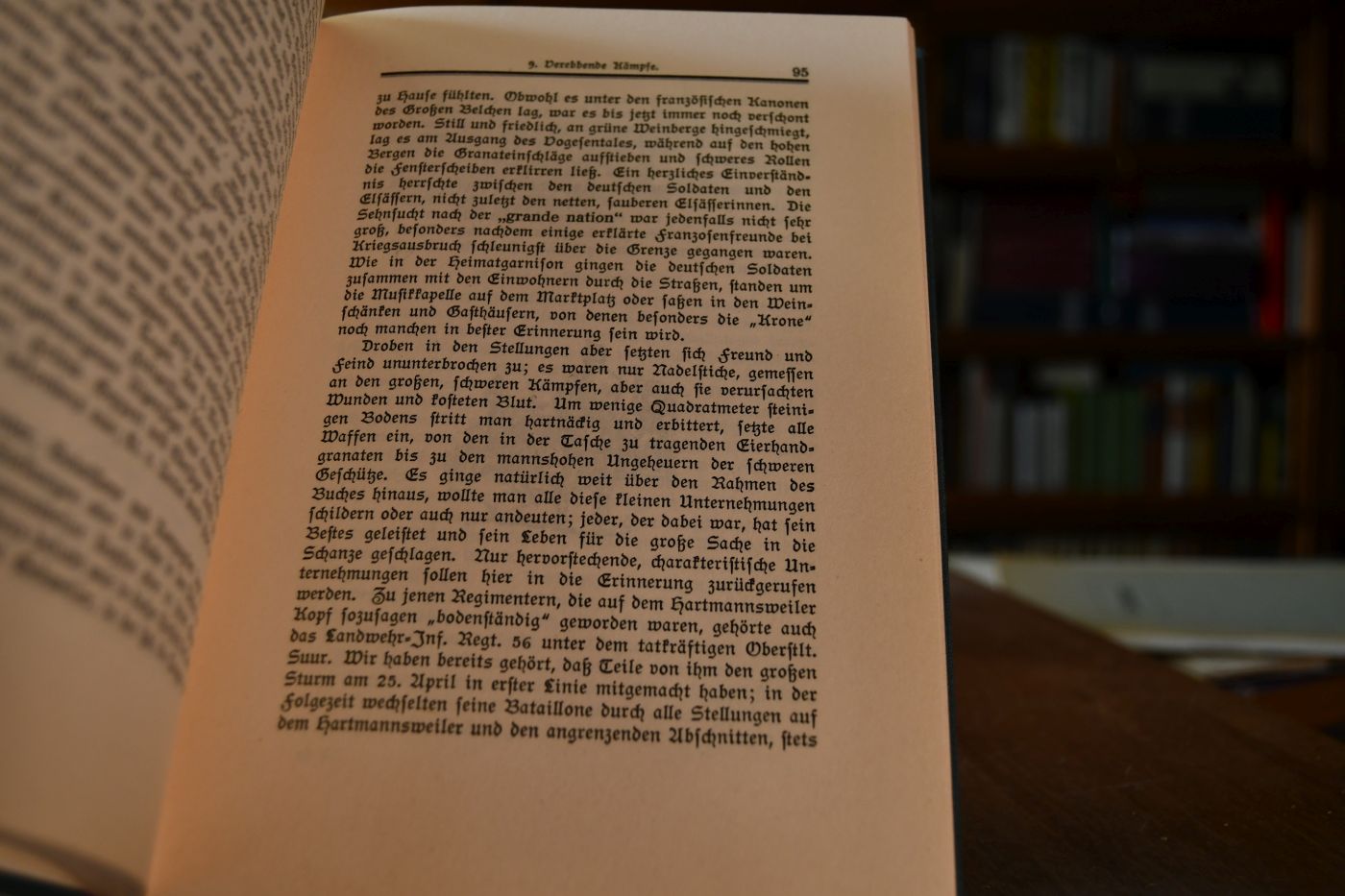 H.K. (Hartmannsweiler Kopf). Das Schicksal eines Berges im Weltkriege.