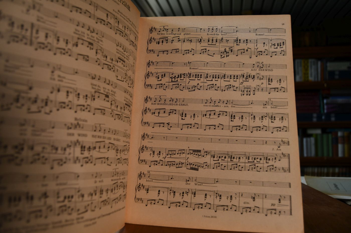 Lieder, die Zarah Leander singt.