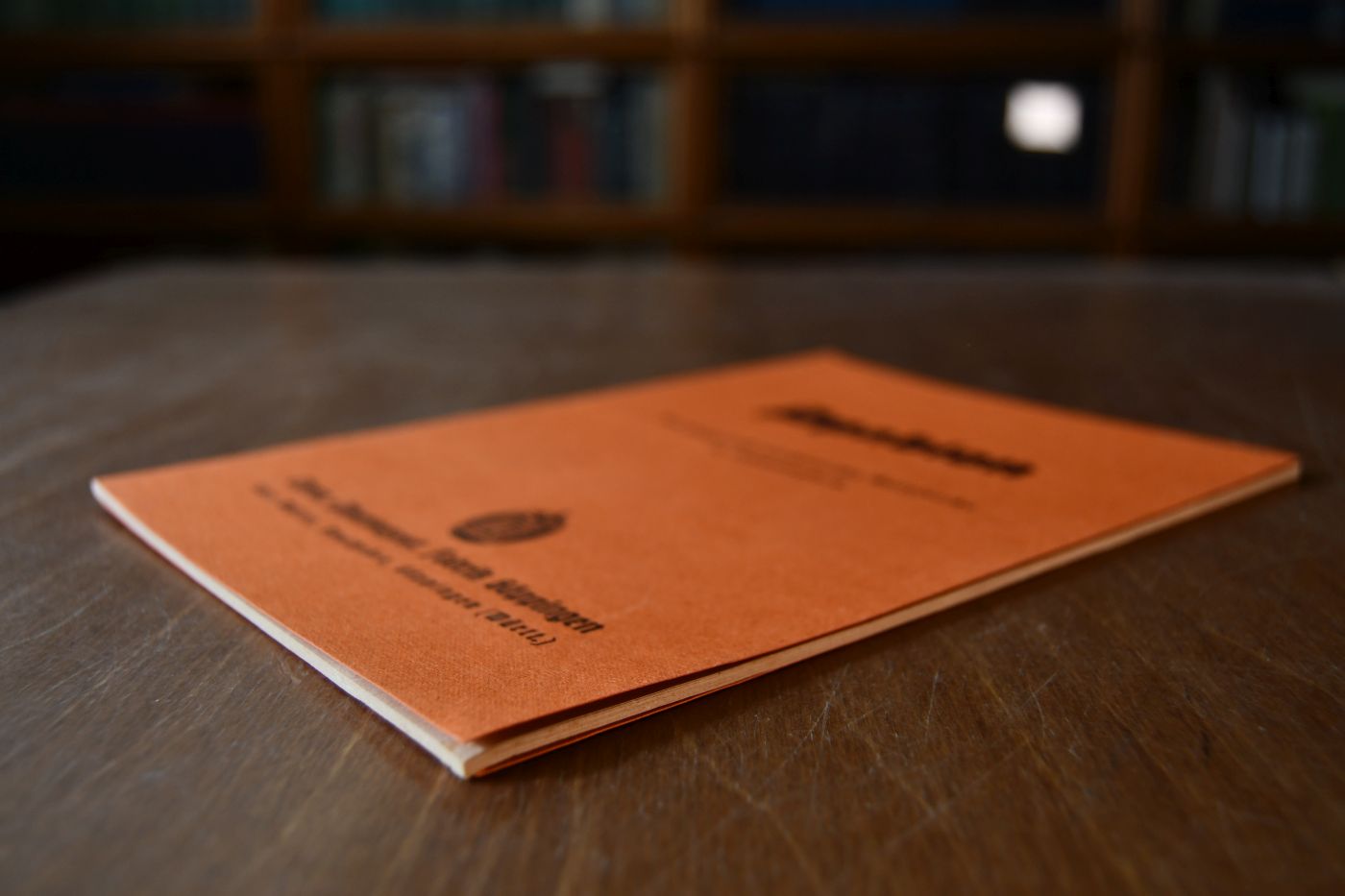 Spabion, die spagyrisch-biochemische Mittelreihe in Tablettenform.