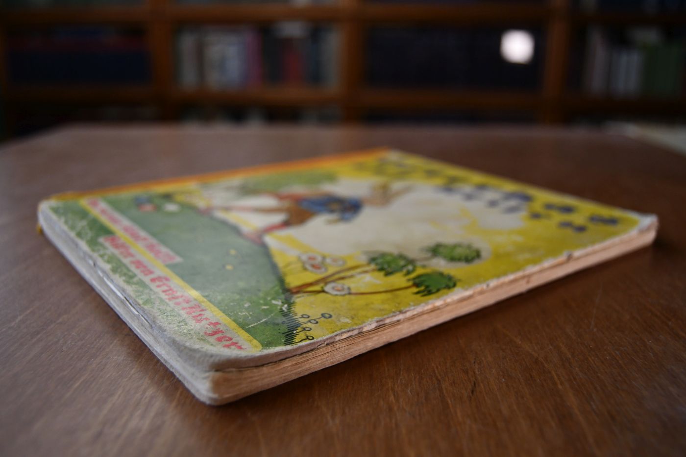 Der Osterhas auf Reisen. Ein lustiges Hasenbuch.